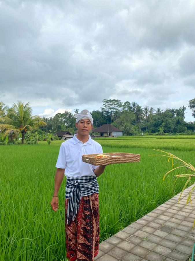 Ab Ubud Luxury Villa المظهر الخارجي الصورة